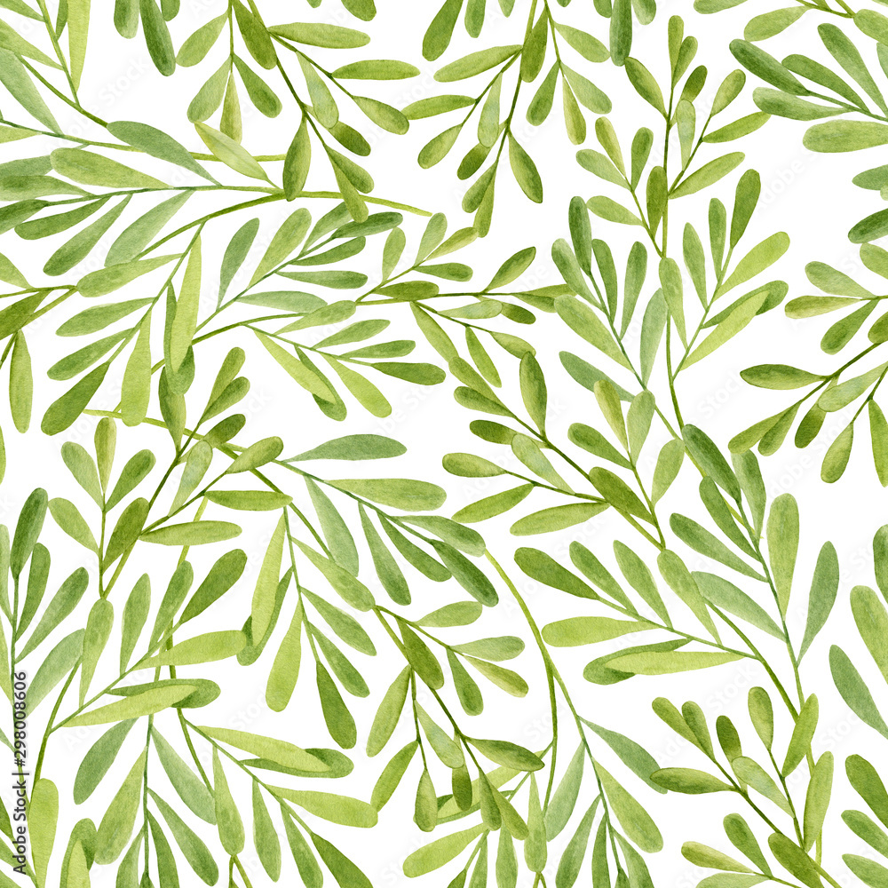Obraz Watercolor tea tree leaves seamless pattern. Hand drawn illustration of Melaleuca. Green medicinal plant isolated on white background. Herbs for cosmetics, package, textile, cards, decoration