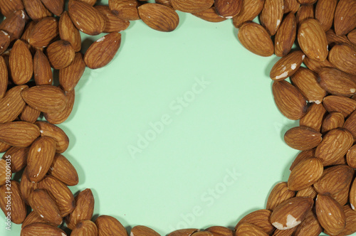circle almond frame pastel green background