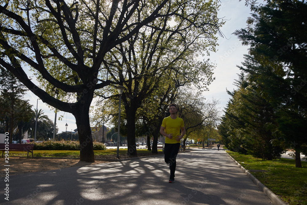 Fototapeta premium Man running on a tree lined road