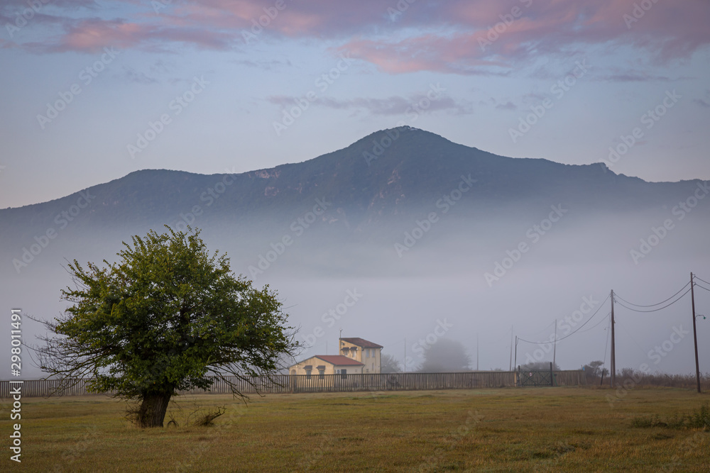 Early morning on Corfu island, Greece