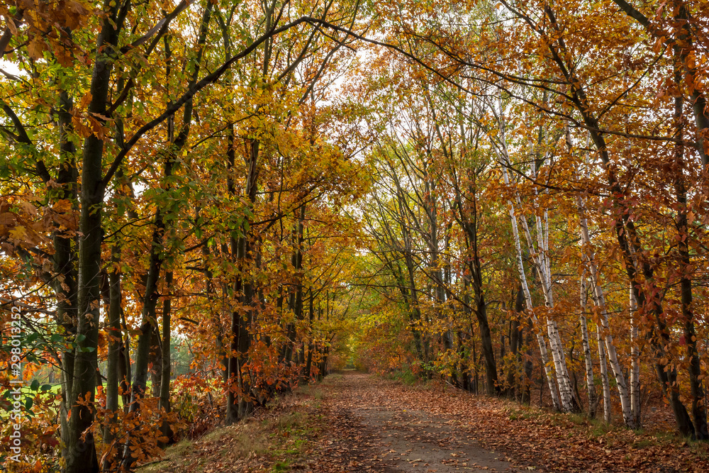 Herbstlandschaft im Sonnenschein