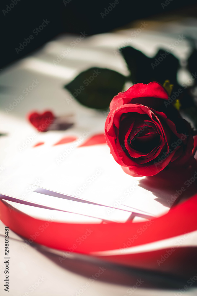 red rose