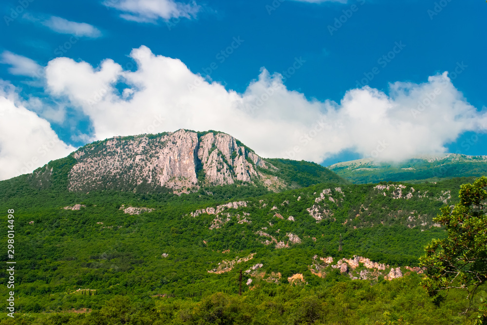 Fototapeta premium Mountains against the blue sky with clouds. Mountains with forest.