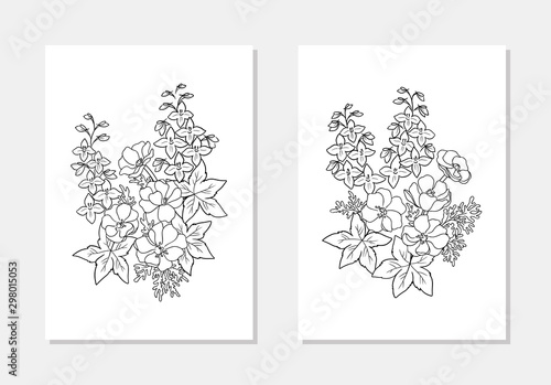 vector anemone wind flower delphinium bell leaf coloring book outline illutration print