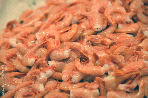 Fresh sea shrimps