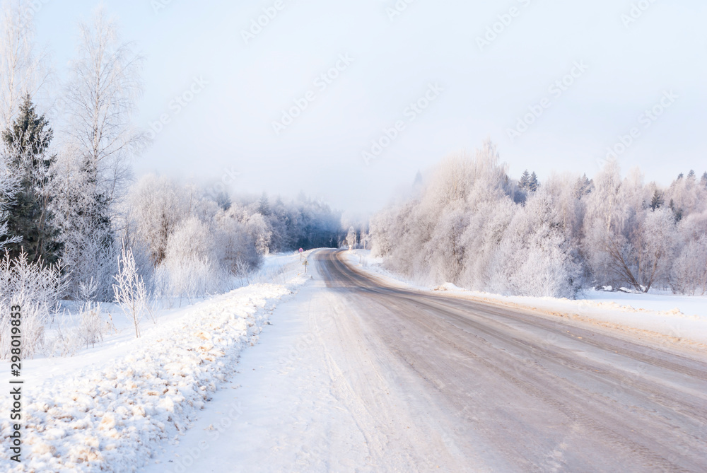 Obraz premium Russia. Winter. Forest in the fog.