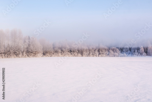 Russia. Winter. Forest in the fog. © Alex Bu