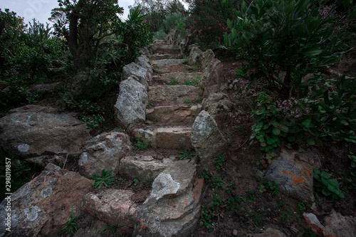 Mysterious looking steps in a green dark garden