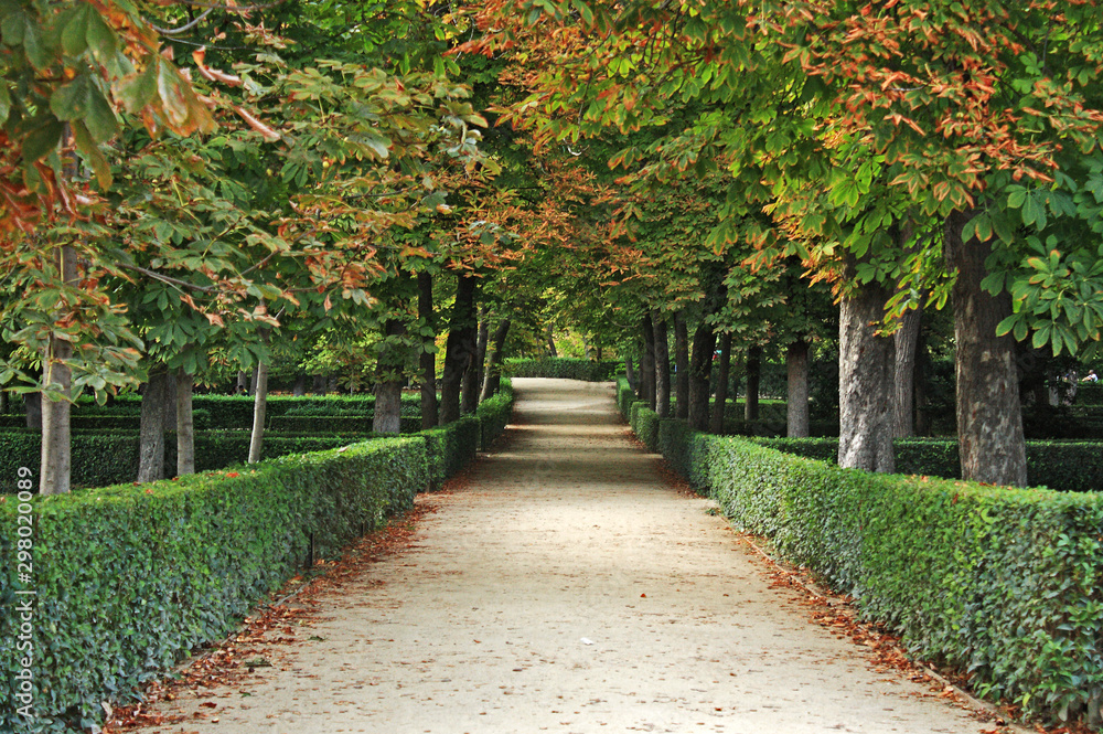  Road in the park in autumn