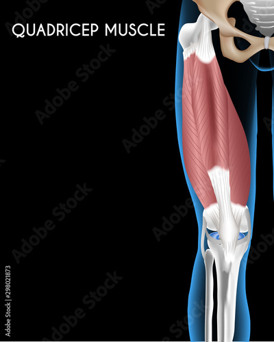 Medical orthopedic abstract. Treatment for orthopedics traumatology of knee bones and quadriceps muscle joints injury. Medical presentation, hospital. Vector Illustration