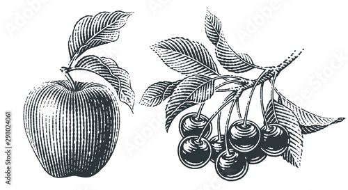 Apple and cherry composition. Hand drawn engraving style illustrations.