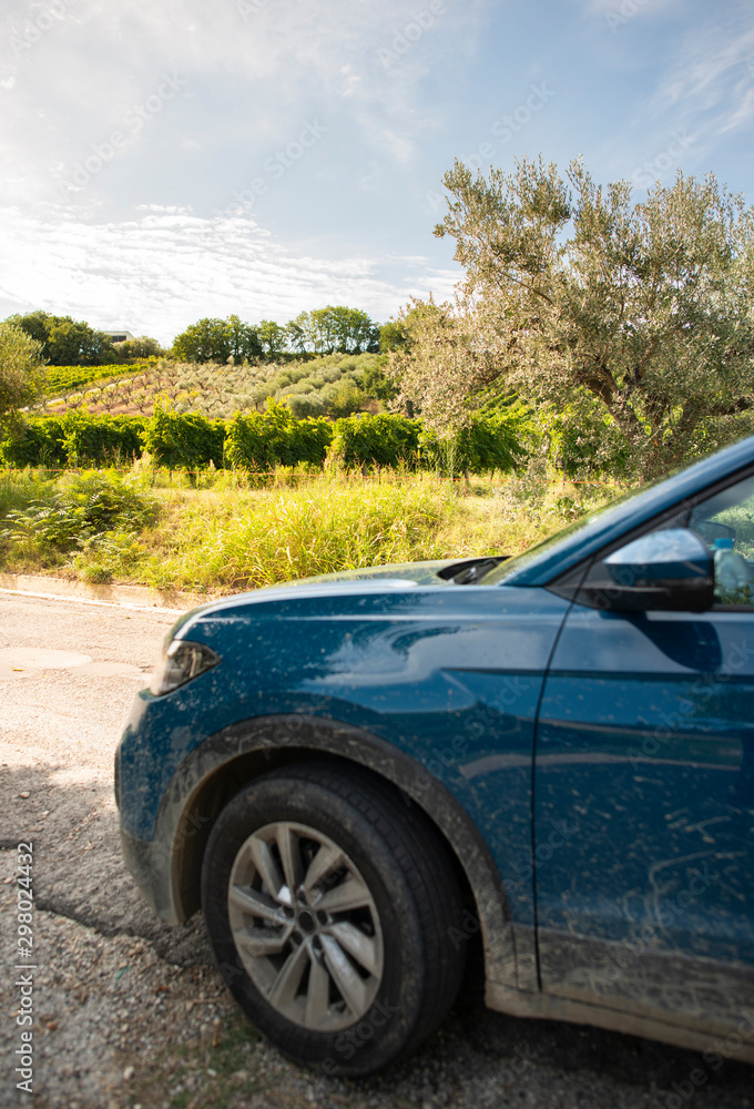 Tourist car in vineyards. Rural tourism concept with car and wine grapes on background.