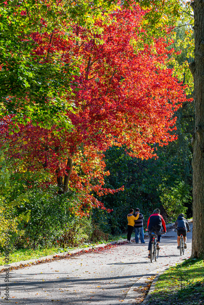 Sunny fall Day Sunny fall Day