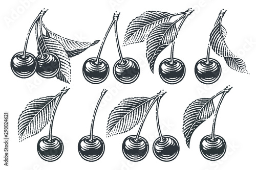 Cherry set. Hand drawn engraving style illustrations.