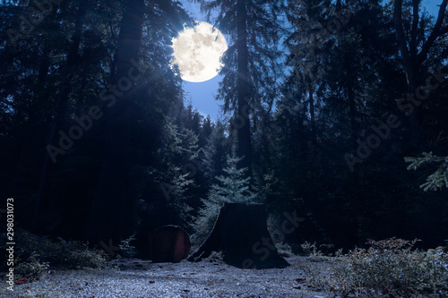 A romantic place in the middle of the night in a german forest at full moon. In the foreground a sawn tree with stump in bluish moonlight.