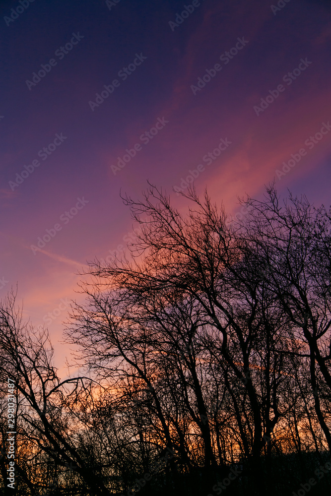Beautiful colorful sunset above the dark autumn trees silhouettes