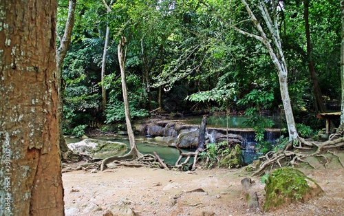 Bosque tropical en las cascadas de Erawan, Kanchanaburi, Tailandia.