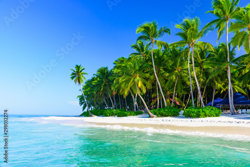 beautiful caribbean landscape with palm tree on the beach © dbrus
