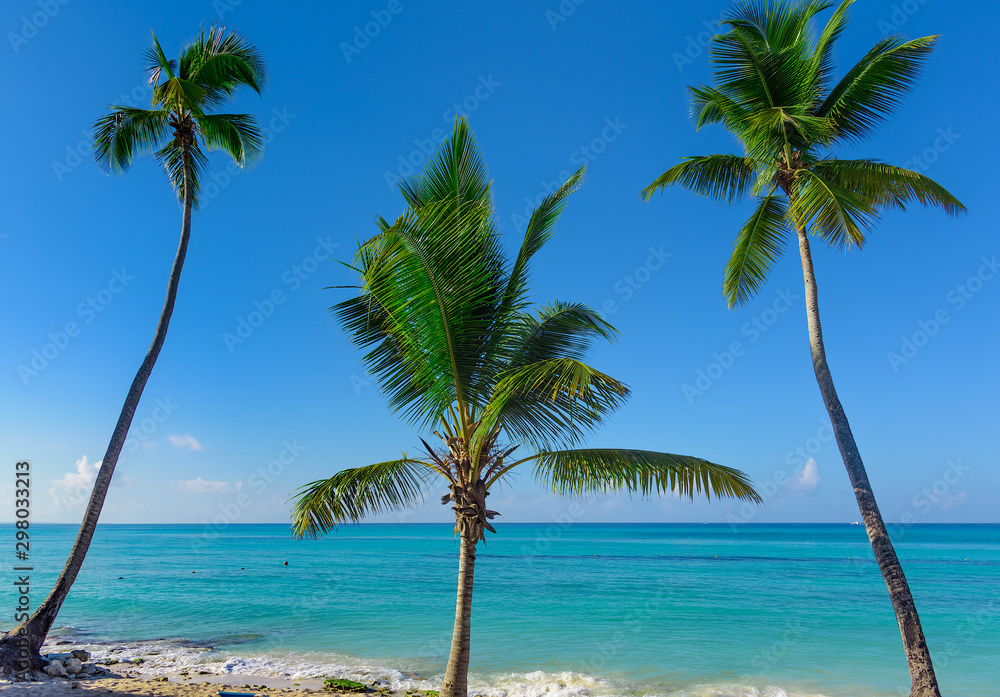 beautiful caribbean landscape with palm tree on the beach