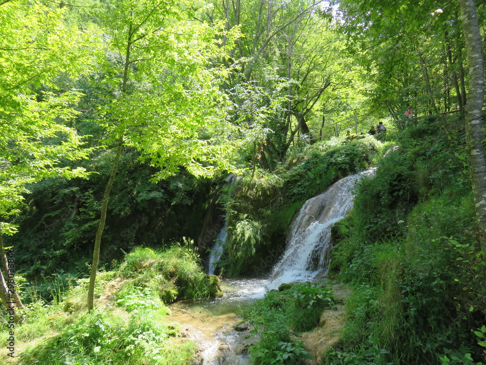 Mountain Tara nature landscape in summer waterfall in forest Mountain Tara nature landscape in summer waterfall in forest