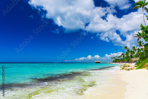 Fototapeta Naklejka Na Ścianę i Meble -  beautiful caribbean landscape with palm tree on the beach