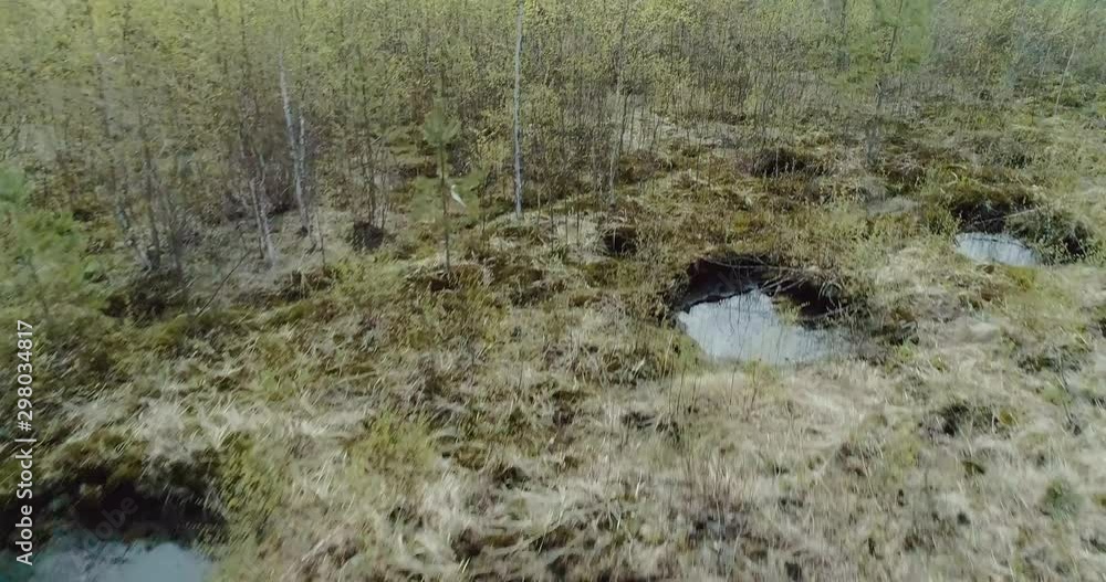 Aerial view drone flies by the highway and goes into the forest