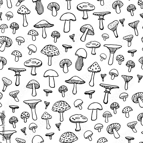 Seamless doodle pattern with forest mushrooms on white background. Beautiful autumn illustration in vector.