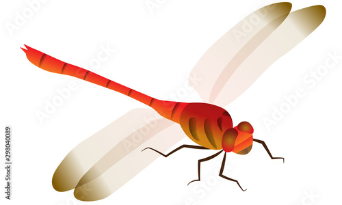 Illustration of dragonfly seen from diagonally above