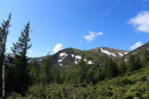 Wonderful landscape of Appenine mountains with fir trees and conifer nature. photo