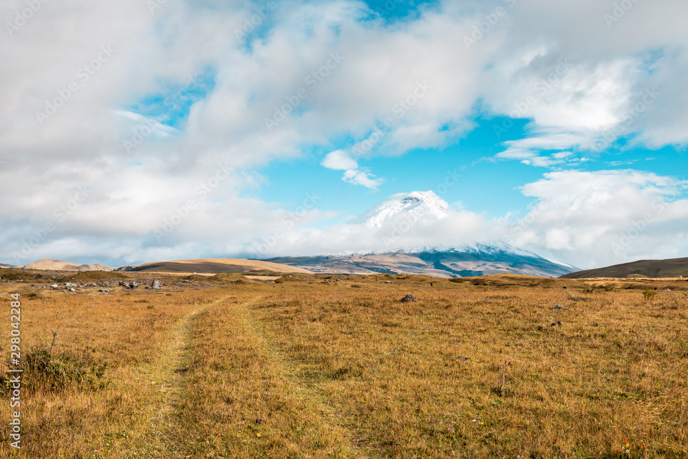 View to the volcano Cotopaxi with snowy peak in a rough landscape, Cotopaxi National Park, Ecuador, South America