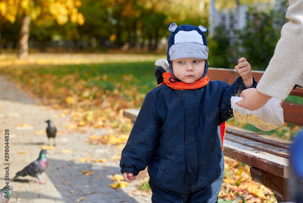 Little boy in overalls and a funny hat feeds pigeons in the park in autumn. Little boy in overalls and a funny hat feeds pigeons in the park in autumn.