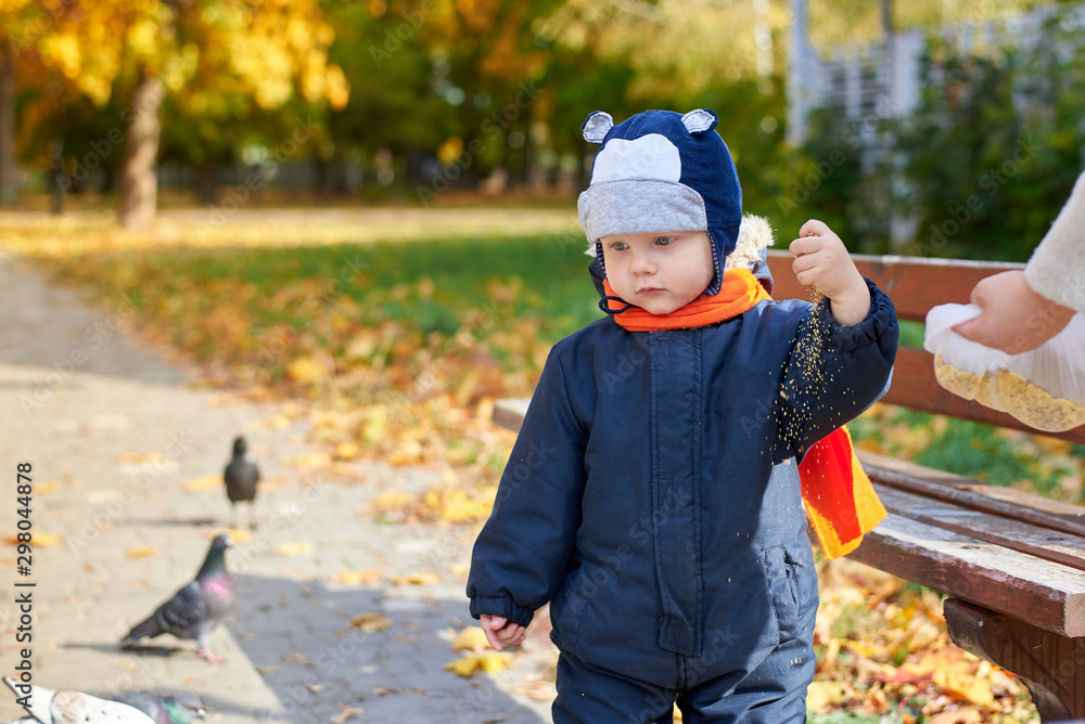 Little boy in overalls and a funny hat feeds pigeons in the park in autumn. Little boy in overalls and a funny hat feeds pigeons in the park in autumn.