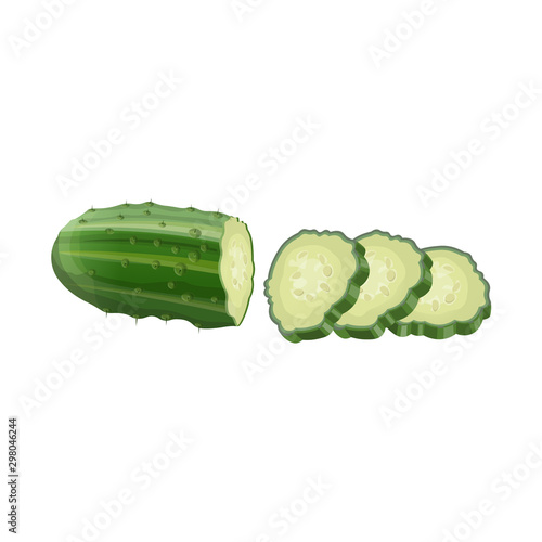 Half of cucumber with few slices, realistic vector