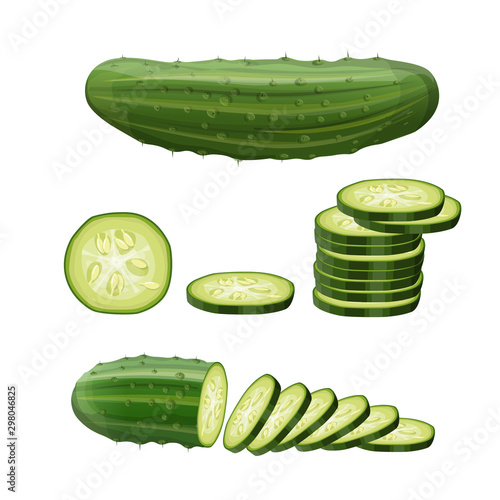 Fresh cucumber set, vector in realistic style