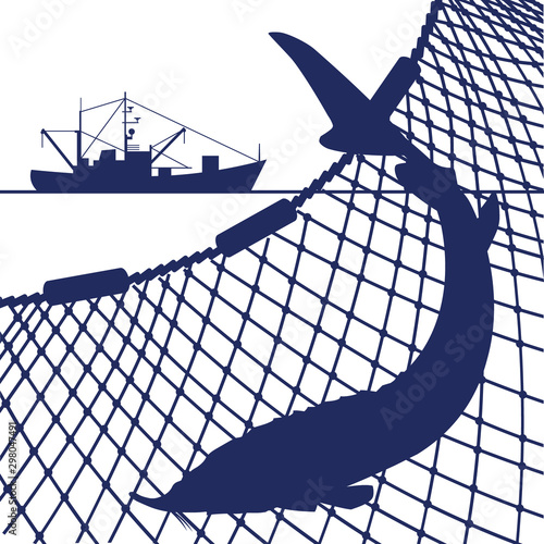 Silhouette of sturgeon fish and marine nets, vector