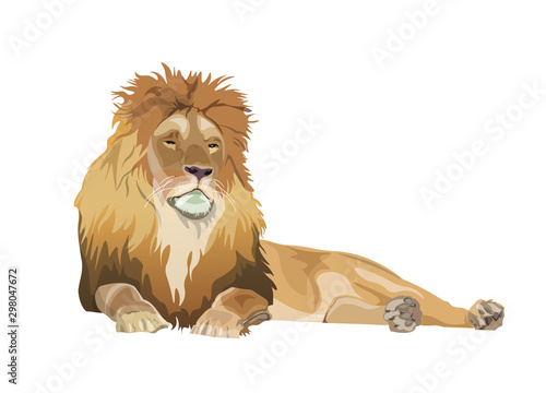 Lion lying down, vector image in realistic style