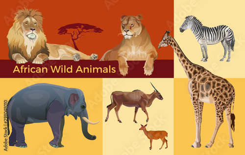 African wildlife  vector image in realistic style