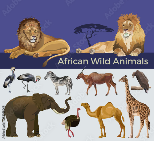 African wildlife, vector image in realistic style