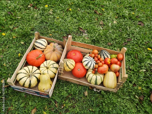 Fotografie récolte d'automne - légumes du potager