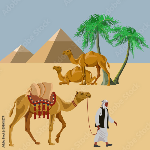 Arab man with a camel in the desert