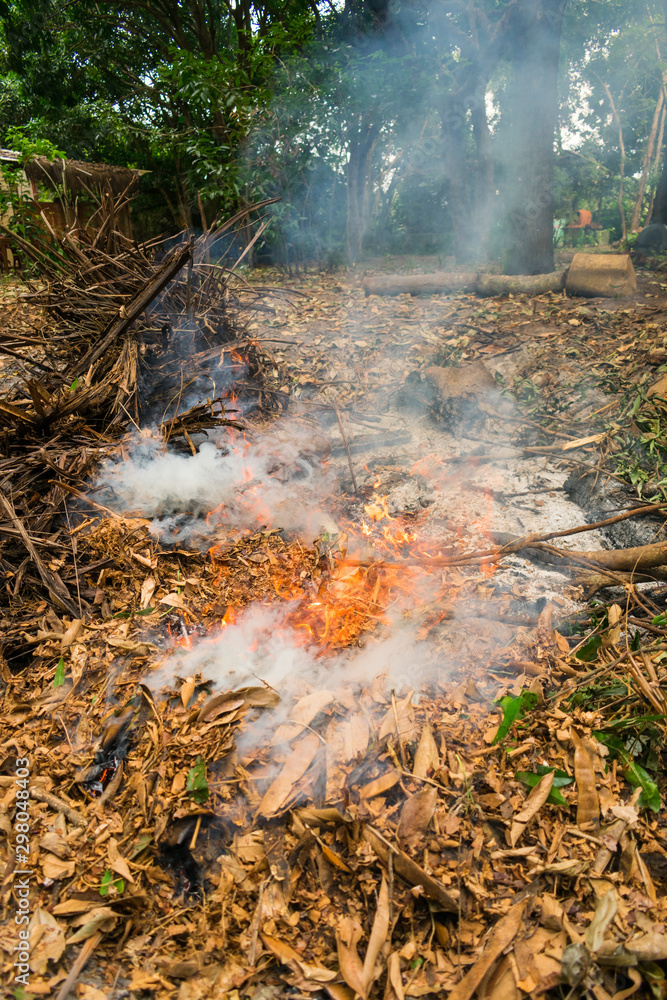 Close up of dry leaves and small branches catching fire and making a lot of smoke Close up of dry leaves and small branches catching fire and making a lot of smoke