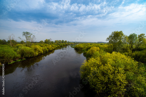 River and trees on calm day. Natural landscape