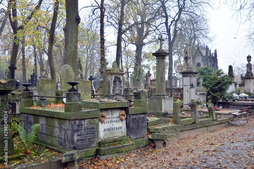 Tombstones and trees at the old cemetery.