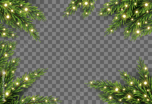 Christmas tree decor with fir branches and lights on transparent background, vector illustration photo