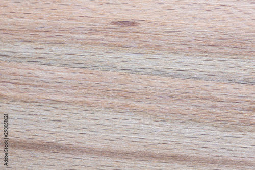 Beech wood slab color texture as natural background