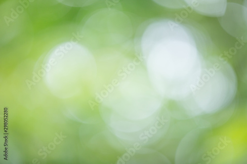 Background concept. Natural, green and blurred background