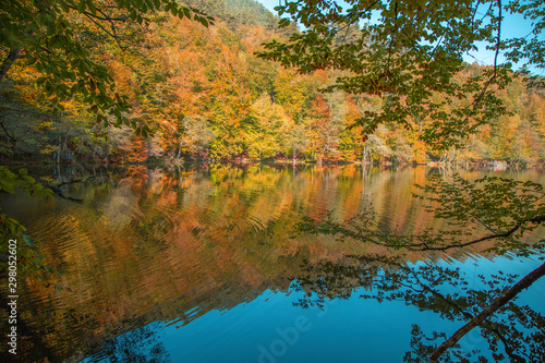 Impressive Autumn Lake View