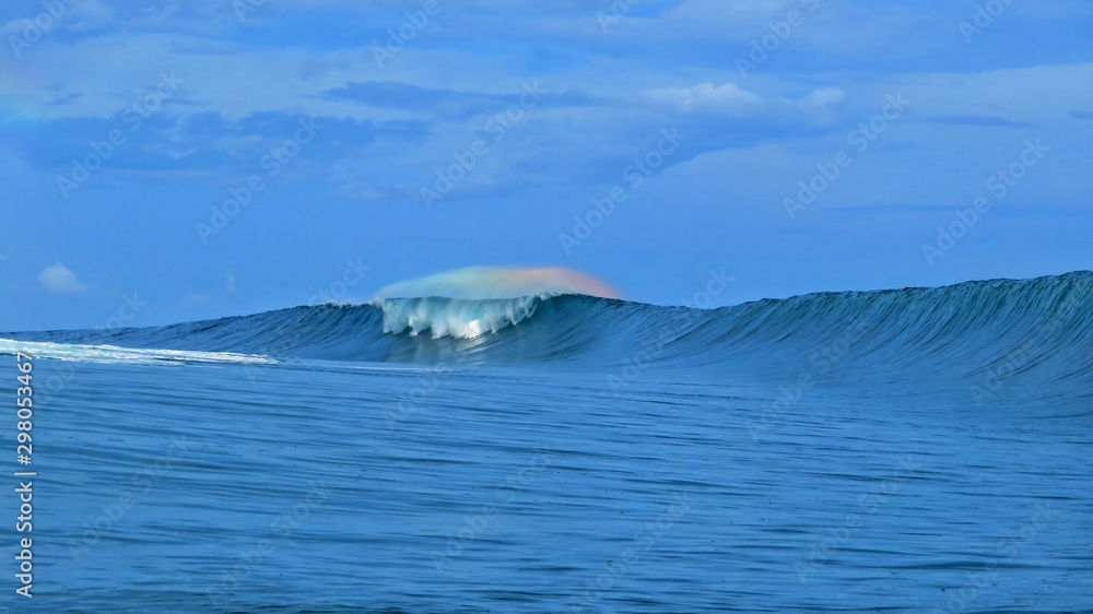 Obraz premium exploring tropical island of tahiti