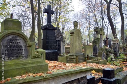 Tombstones and trees at the old cemetery.