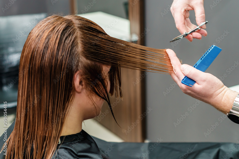 Fototapeta premium Hands of professional hair stylist are cuting hair tips with scissors and comb close up. Concept beauty salon, female stylist.